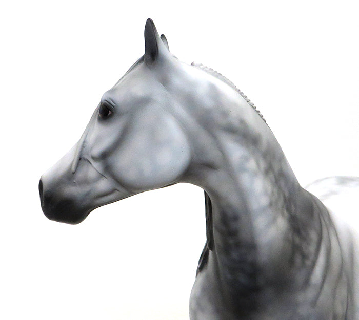 ALLIE - OOAK Dappled Grey Stock Horse 9/25