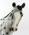COLOR ME PRETTY-LOUD LEOPARD APPALOOSA WEANLING MODEL HORSE 12/22