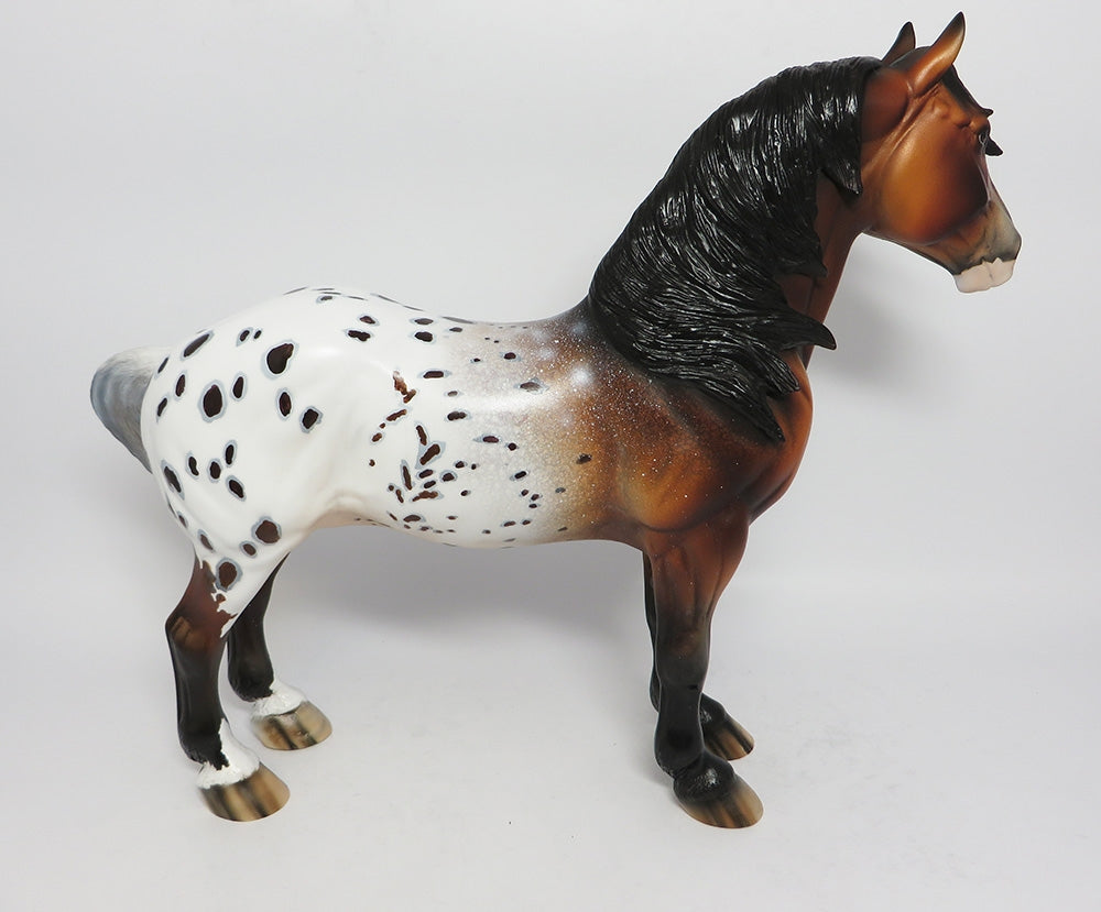 SCRAMBLER-OOAK BAY APPALOOSA STANDING DRAFT BY DAWN QUICK 12/12/17