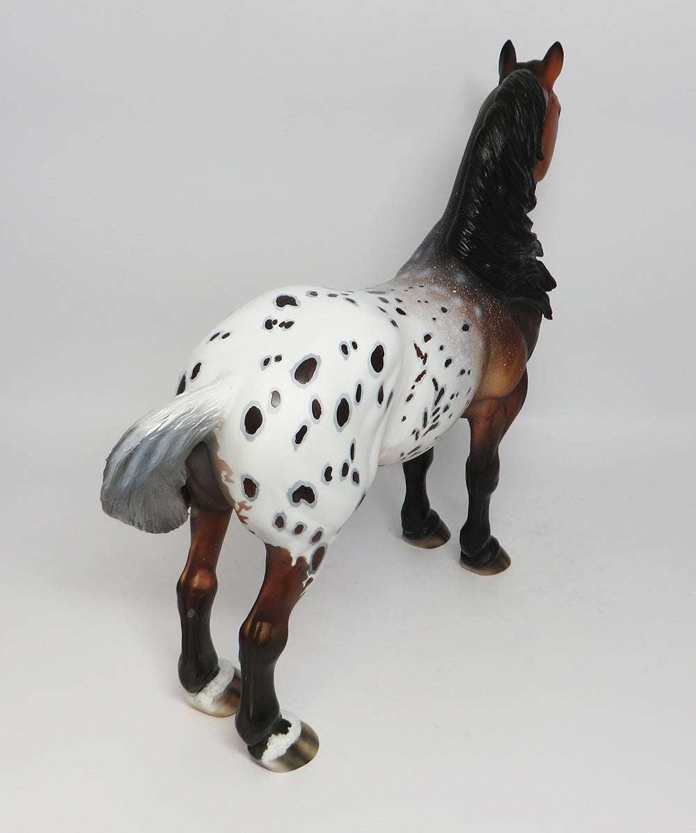 SCRAMBLER-OOAK BAY APPALOOSA STANDING DRAFT BY DAWN QUICK 12/12/17