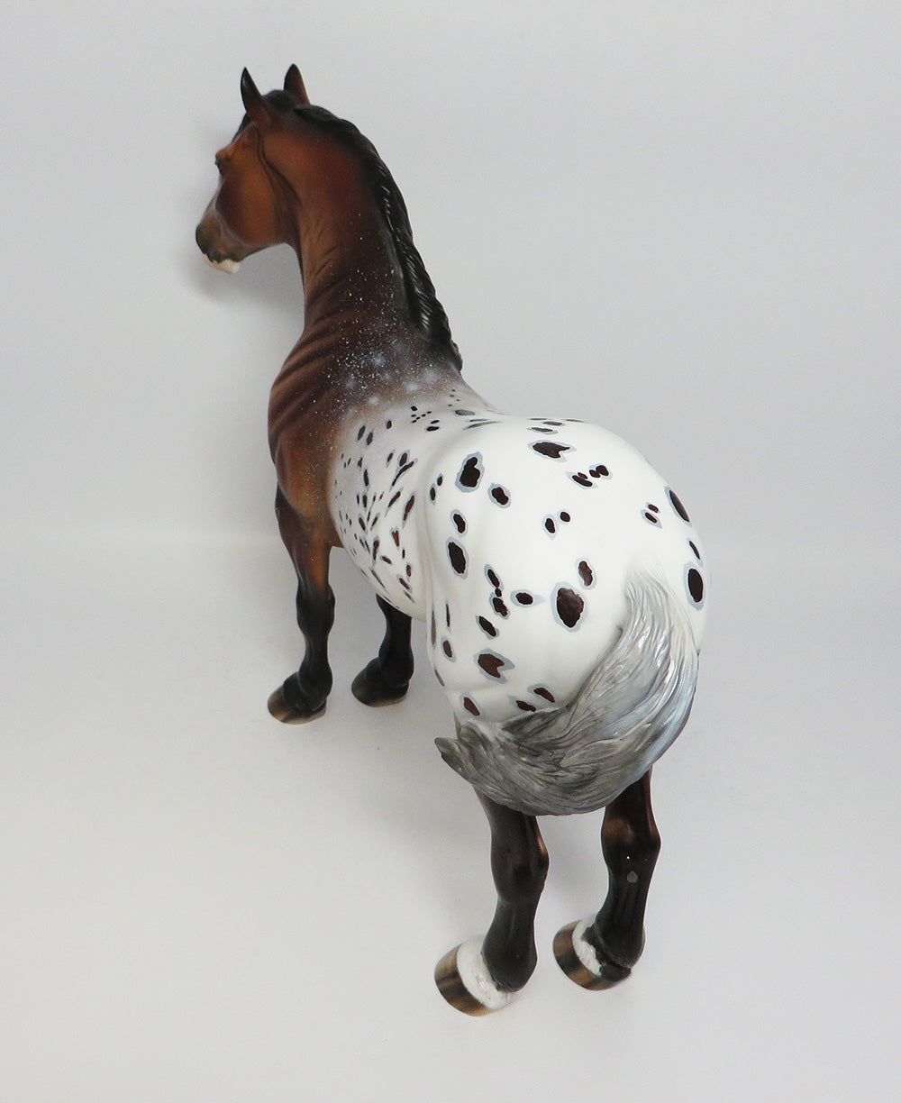 SCRAMBLER-OOAK BAY APPALOOSA STANDING DRAFT BY DAWN QUICK 12/12/17