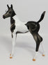 APPALACIA~LE-5 BLACK AND WHITE PAINT FOAL EQ 17