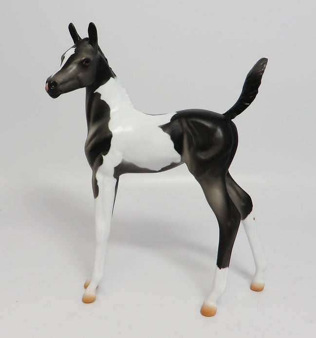 APPALACIA~LE-5 BLACK AND WHITE PAINT FOAL EQ 17