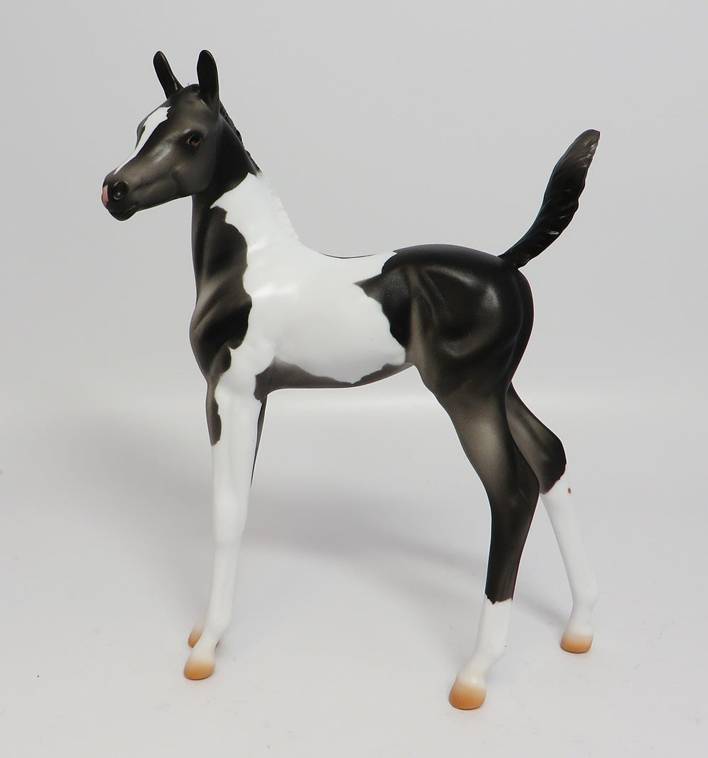 APPALACIA~LE-5 BLACK AND WHITE PAINT FOAL EQ 17
