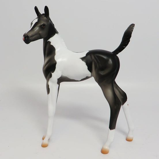 APPALACIA~LE-5 BLACK AND WHITE PAINT FOAL EQ 17