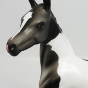 APPALACIA~LE-5 BLACK AND WHITE PAINT FOAL EQ 17