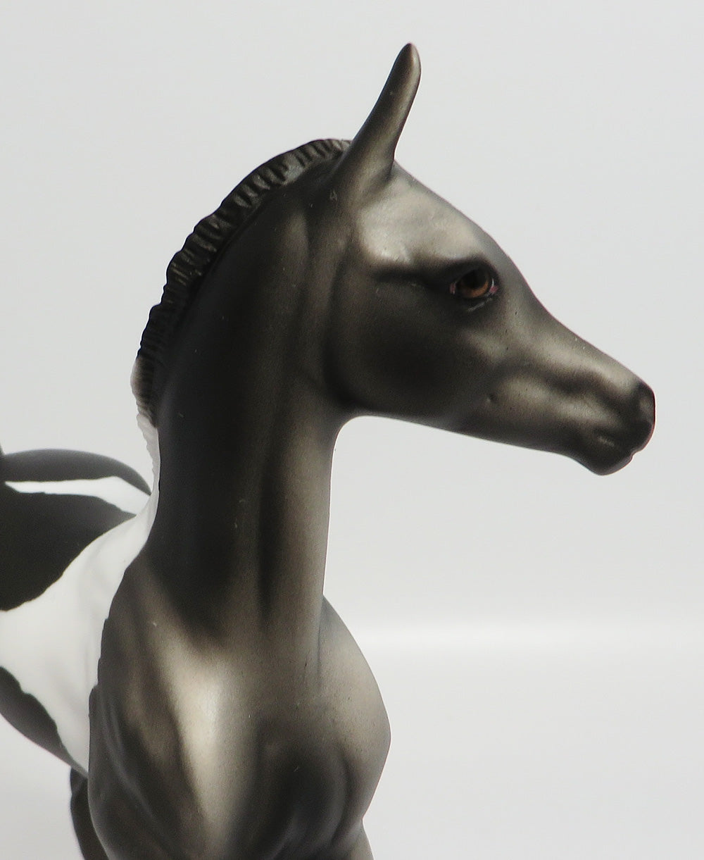 APPALACIA~LE-5 BLACK AND WHITE PAINT FOAL EQ 17