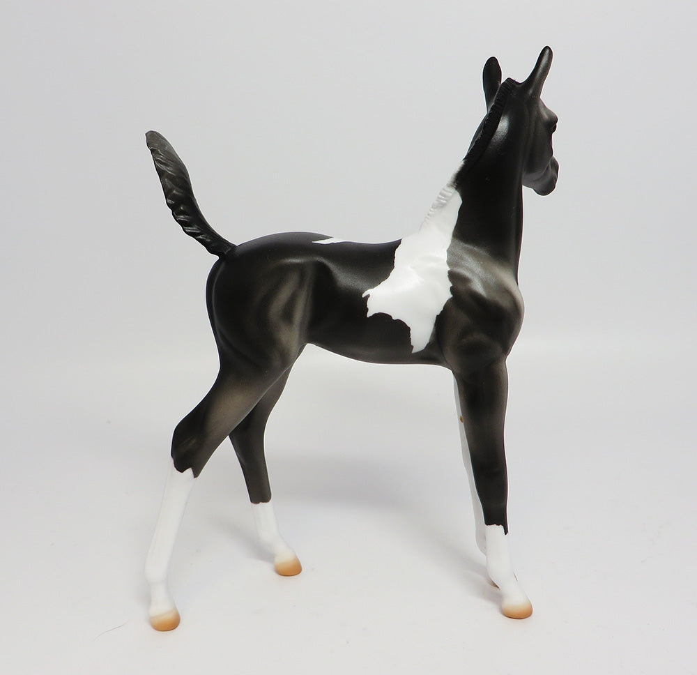 APPALACIA~LE-5 BLACK AND WHITE PAINT FOAL EQ 17