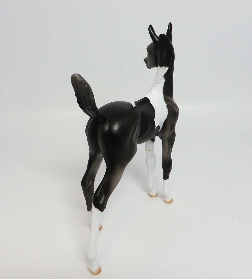 APPALACIA~LE-5 BLACK AND WHITE PAINT FOAL EQ 17
