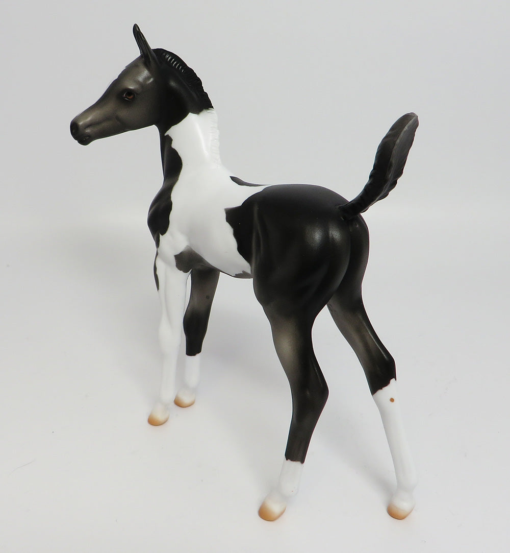 APPALACIA~LE-5 BLACK AND WHITE PAINT FOAL EQ 17