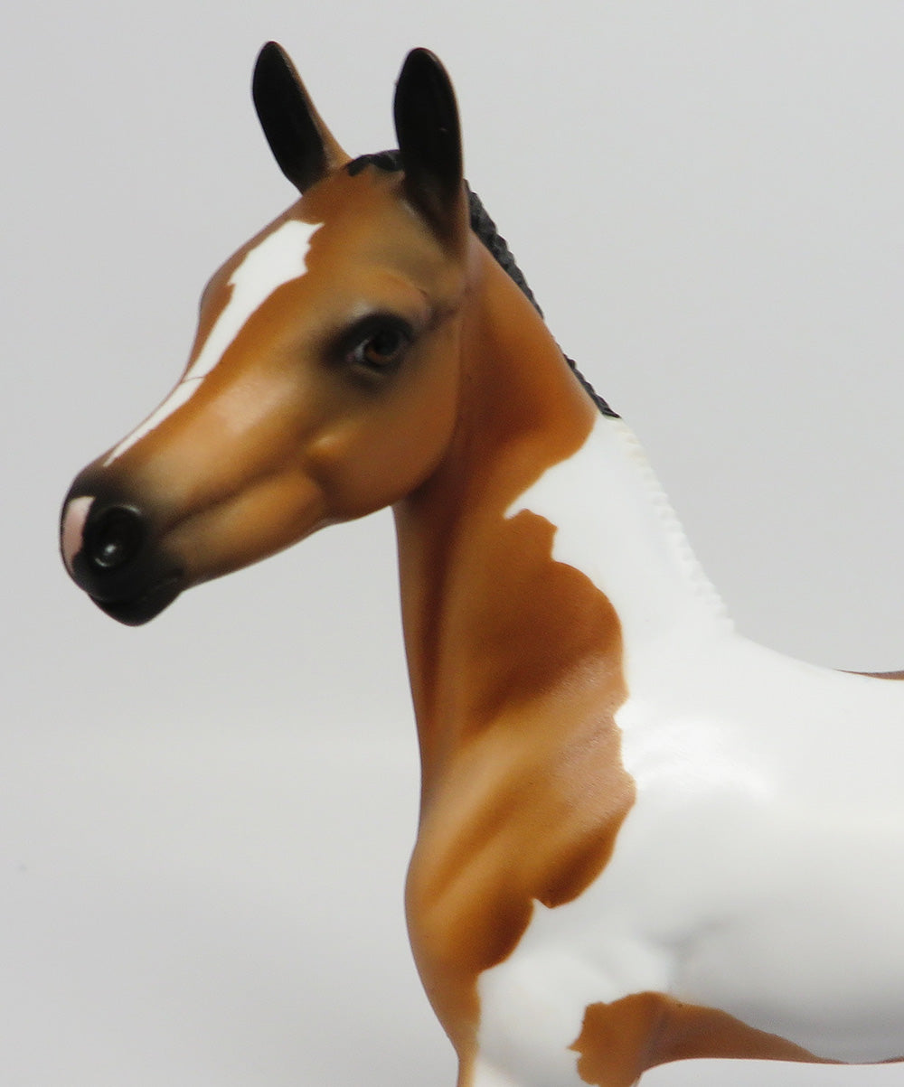 TETON~LE-5 BUCKSIN PINTO FOAL MODEL HORSE EQ 2017