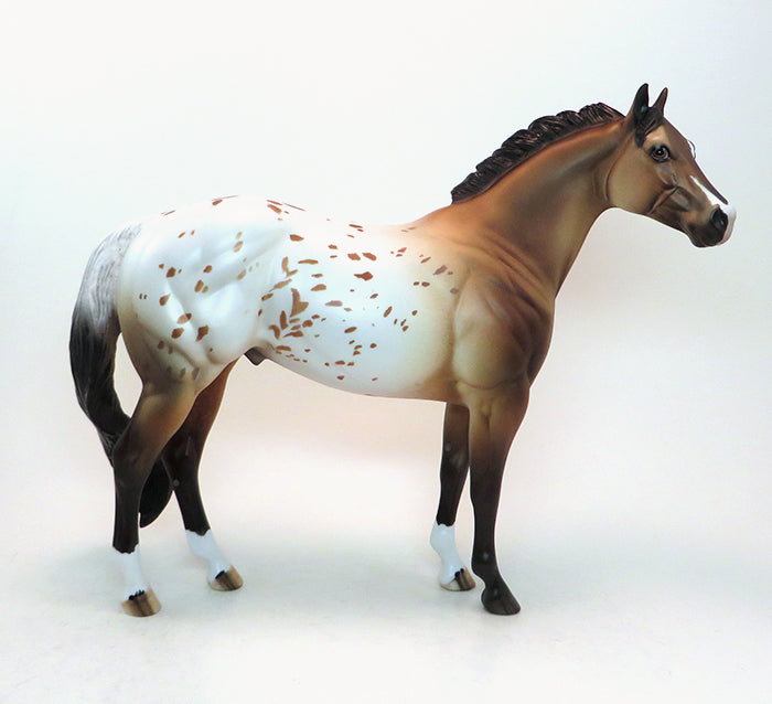 buckskin appaloosa ish