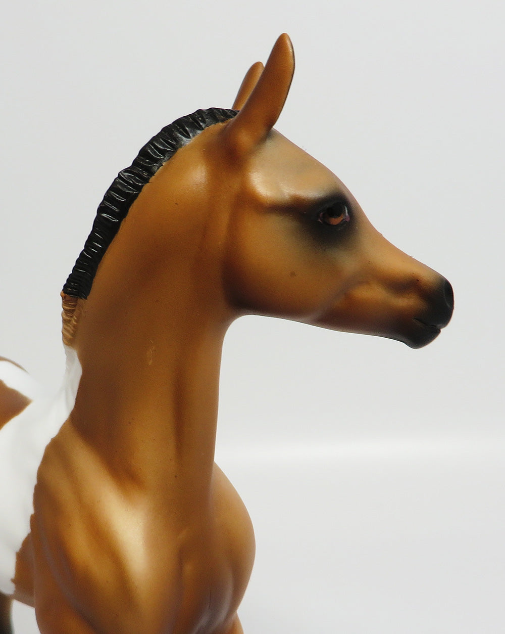 TETON~LE-5 BUCKSIN PINTO FOAL MODEL HORSE EQ 2017