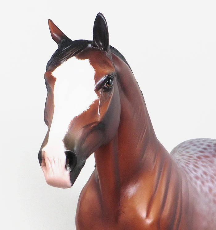 CALL OF THE NORTH - OOAK BAY ROAN REVERSE DAPPLE STANDING DRAFTER MODEL HORSE by SHERYL LEISURE - 12/5