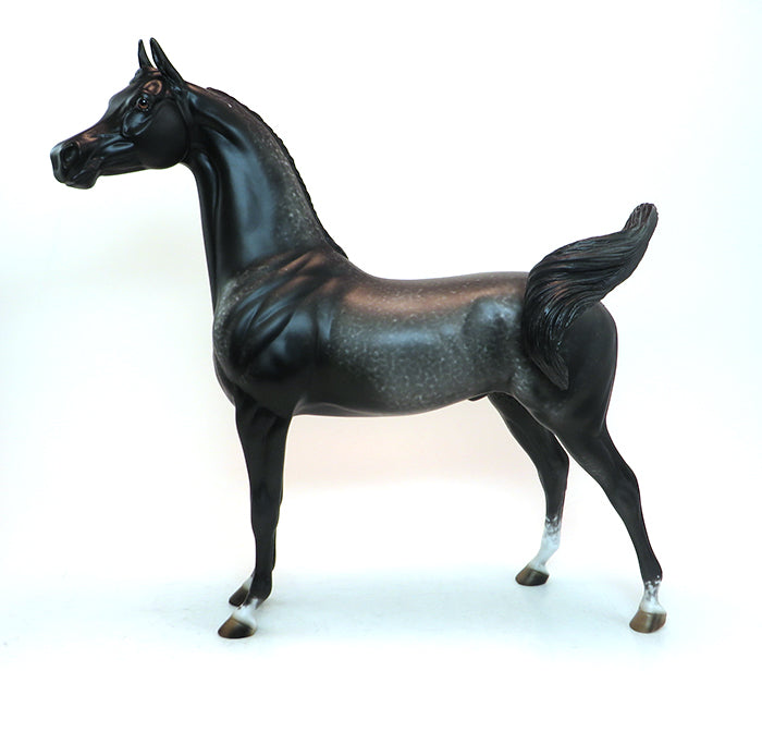 black lace ooak dapple black arabain model horse 