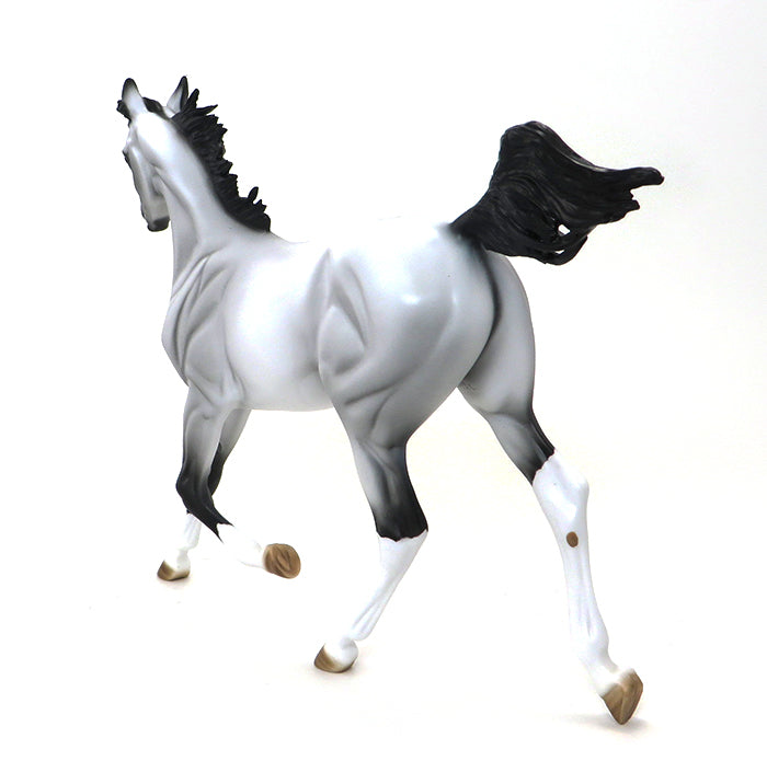 OOAK ARABIAN YEARLING