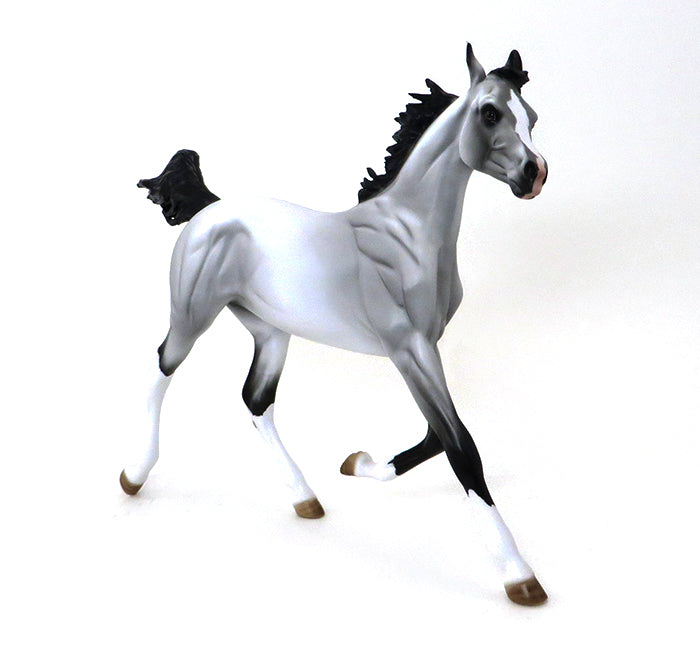 ONE OF A KIND ARABIAN