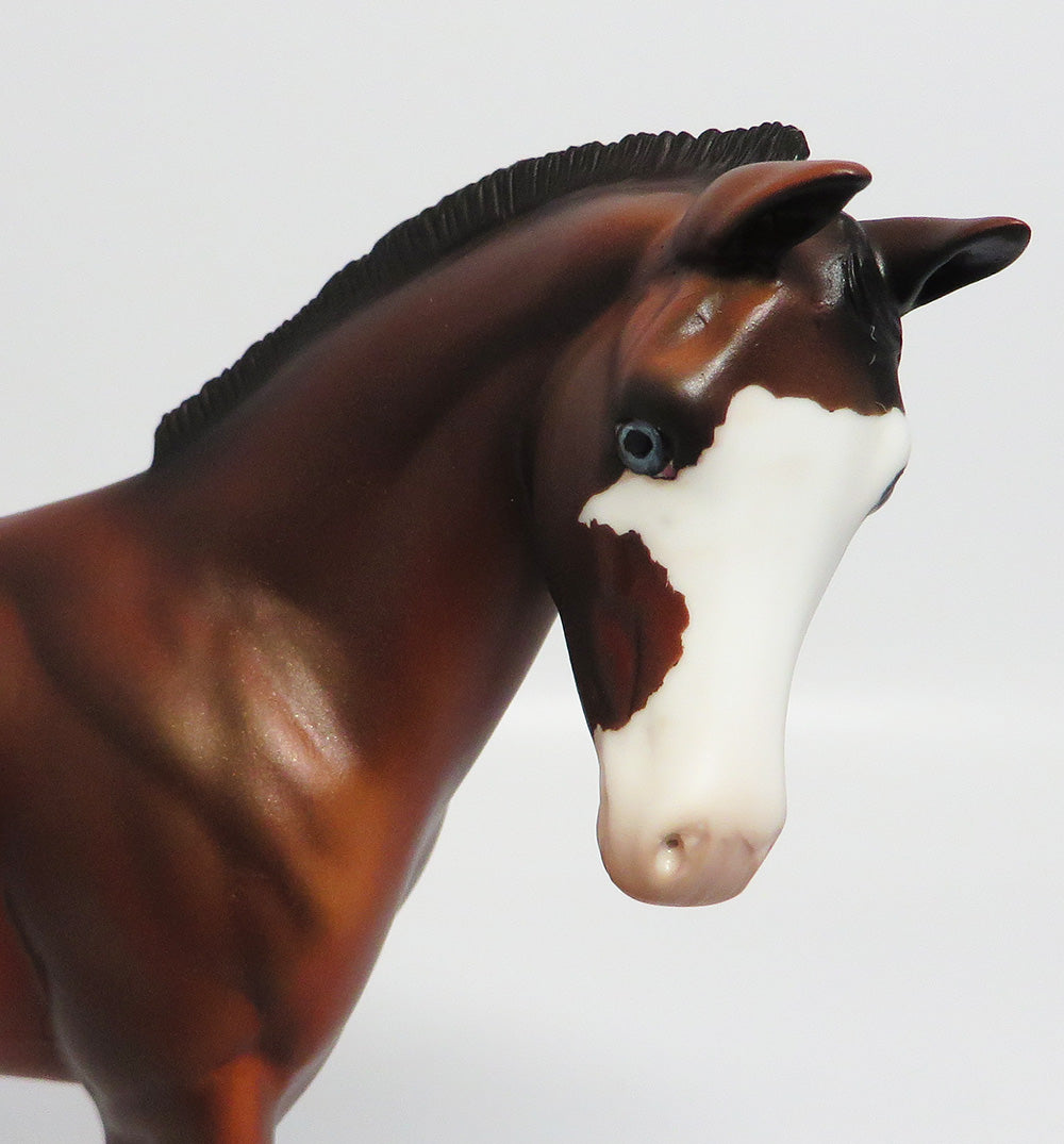 HURON-LE-3 BAY PINTO ROACHED MANE WEANLING EQ2017