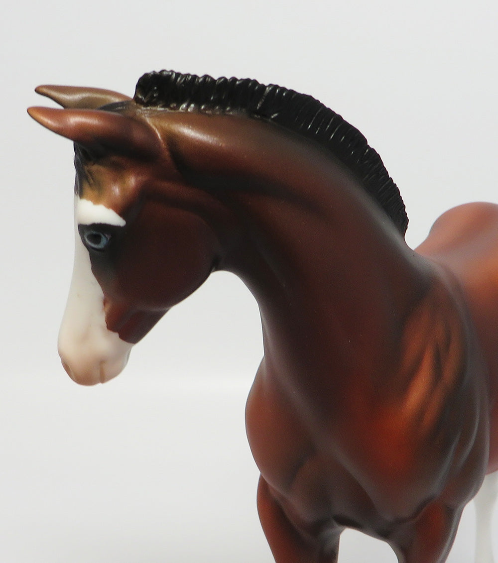 HURON-LE-3 BAY PINTO ROACHED MANE WEANLING EQ2017