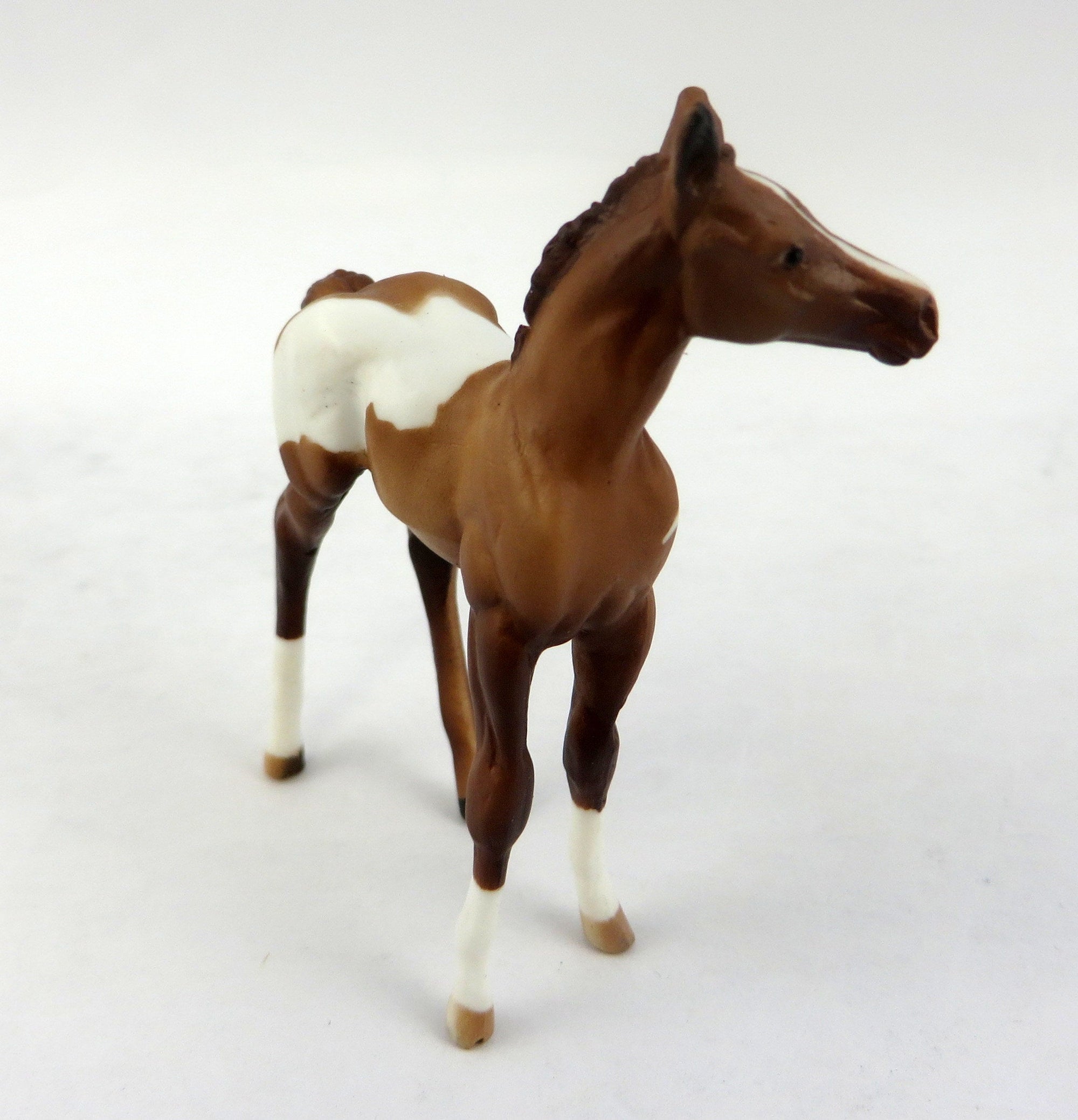 CHICKADEE-OOAK CHESTNUT PAINT CHIP FOAL 12/30