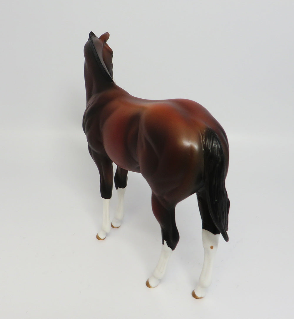 HURON-LE-3 BAY PINTO ROACHED MANE WEANLING EQ2017