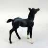 FRISCO-OOAK BLUE ROAN CHIP FOAL MODEL HORSE 12/30