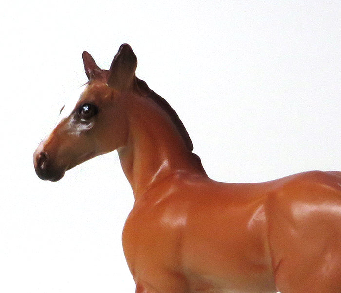 LITTLE RASCAL - CHESTNUT FOAL CHIPS MODEL HORSE - LE5 - 10/7