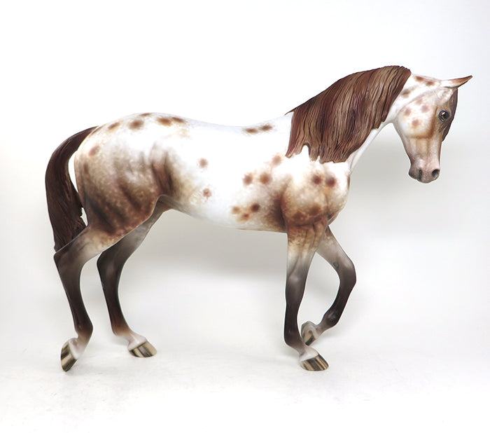 CHESTNUT APPALOOSA THOROUGHBRED 