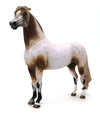 MR. FANTASTIC- ROAN APPALOOSA MORGAN-OOAK 10/7