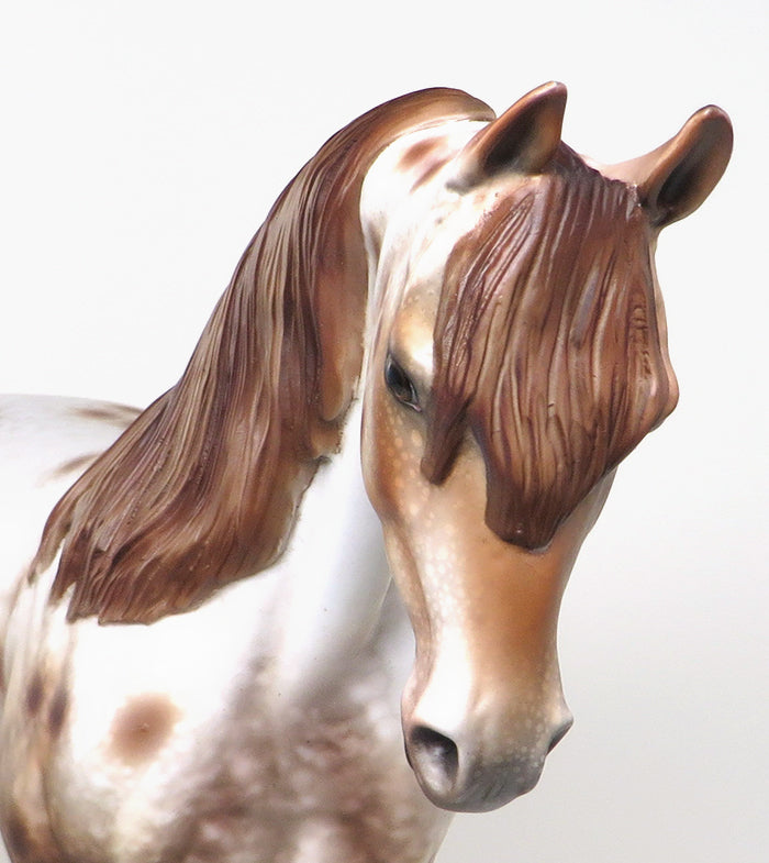 IM A RAP STAR - OOAK CHESTNUT APPALOOSA THOROUGHBRED MODEL HORSE by AL - 1/28