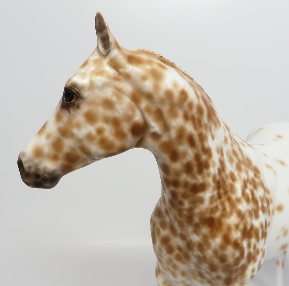 ITUNES~OOAK PALOMINO APPALOOSA ISH MODEL HORSE BY SHERYL LEISURE 5/31