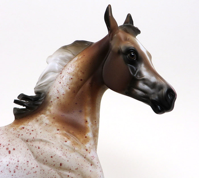 BOOMERRANG-CHESTNUT ROAN APPALOOSA-YEARLING-OOAK 10/7