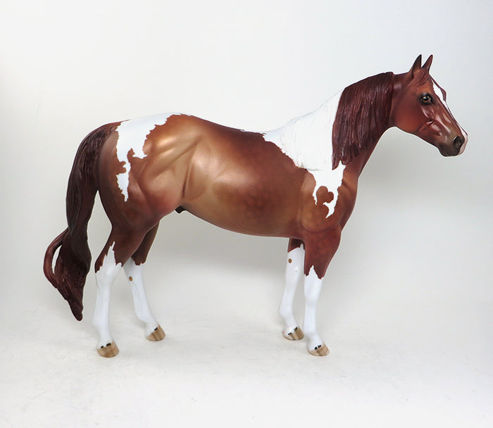 chestnut paint ish nottawa storms