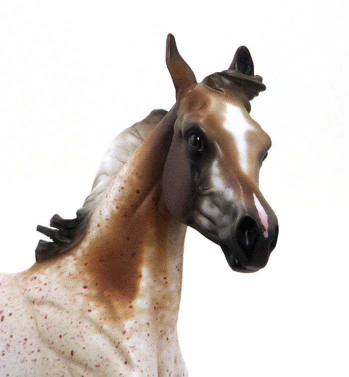 BOOMERRANG-CHESTNUT ROAN APPALOOSA-YEARLING-OOAK 10/7