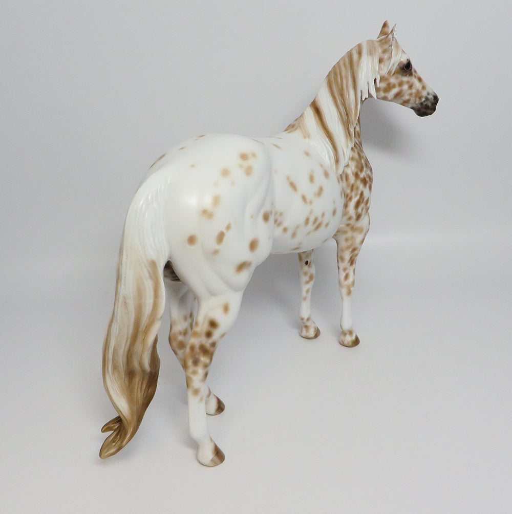 ITUNES~OOAK PALOMINO APPALOOSA ISH MODEL HORSE BY SHERYL LEISURE 5/31