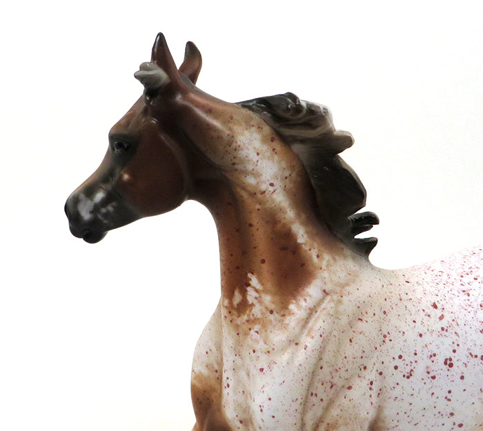 BOOMERRANG-CHESTNUT ROAN APPALOOSA-YEARLING-OOAK 10/7