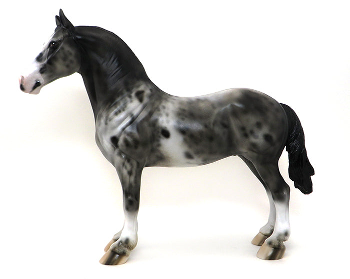 AXEL-APPALOOSA STANDING DRAFTER-OOAK 10/8