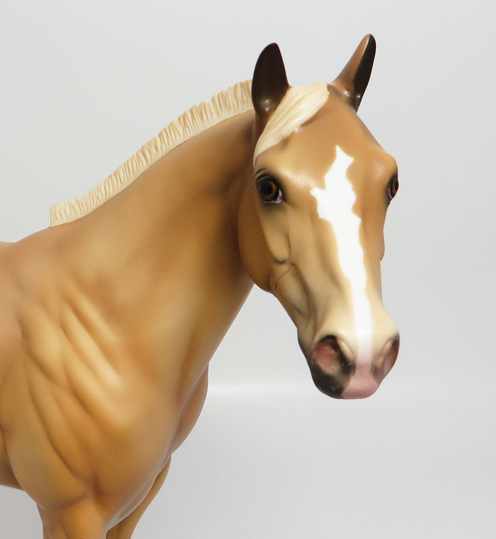 palomino