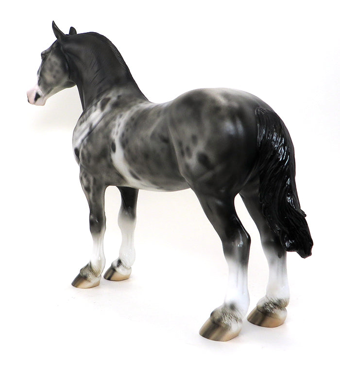 AXEL-APPALOOSA STANDING DRAFTER-OOAK 10/8