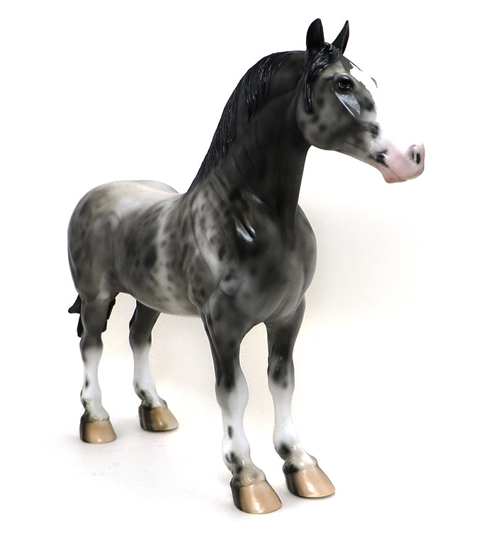 AXEL-APPALOOSA STANDING DRAFTER-OOAK 10/8