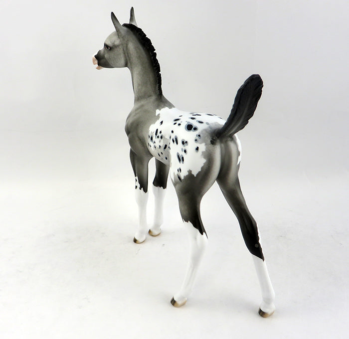 appaloosa