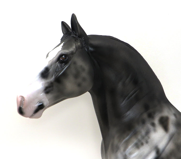 AXEL-APPALOOSA STANDING DRAFTER-OOAK 10/8