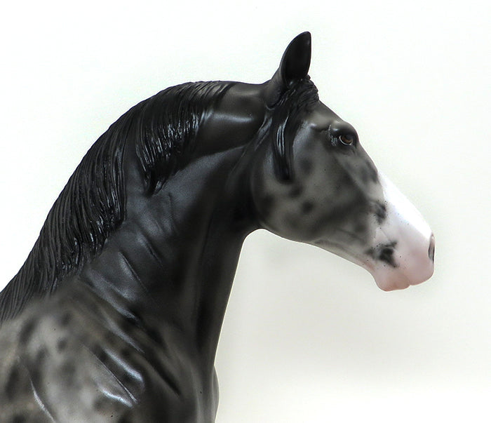 AXEL-APPALOOSA STANDING DRAFTER-OOAK 10/8