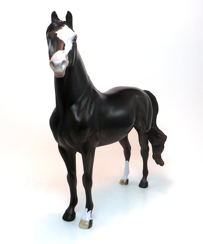Custom Model Horse