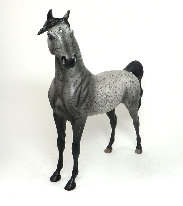 STAR OF WONDER-OOAK-APPALOOSA ARABIAN MODEL HORSE 12/10
