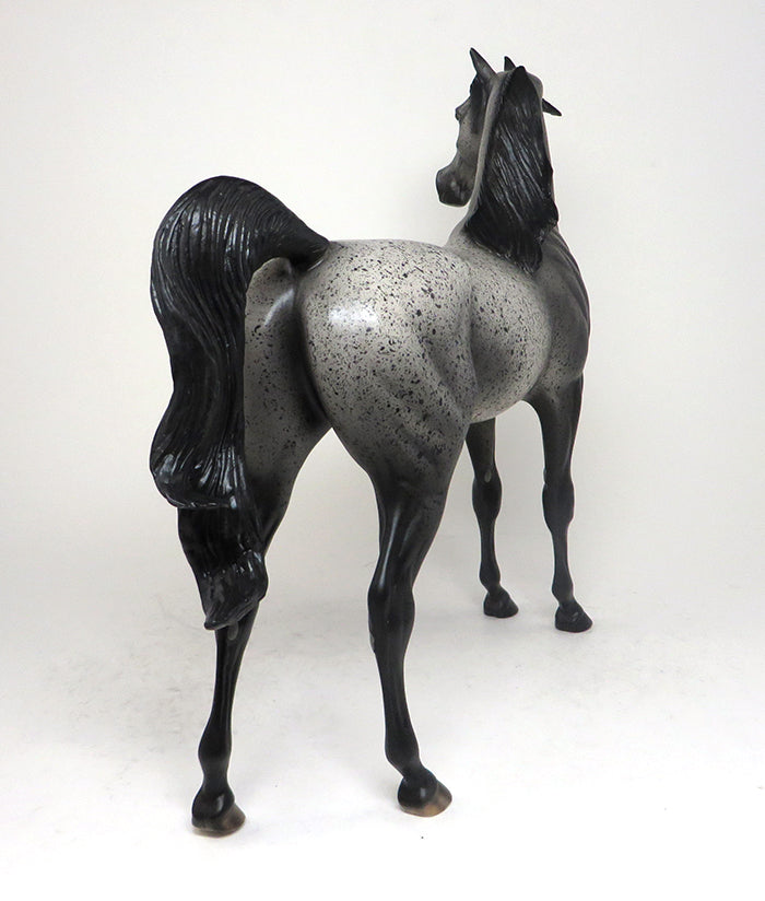 STAR OF WONDER-OOAK-APPALOOSA ARABIAN MODEL HORSE 12/10