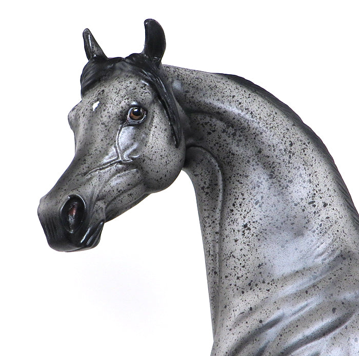 STAR OF WONDER-OOAK-APPALOOSA ARABIAN MODEL HORSE 12/10