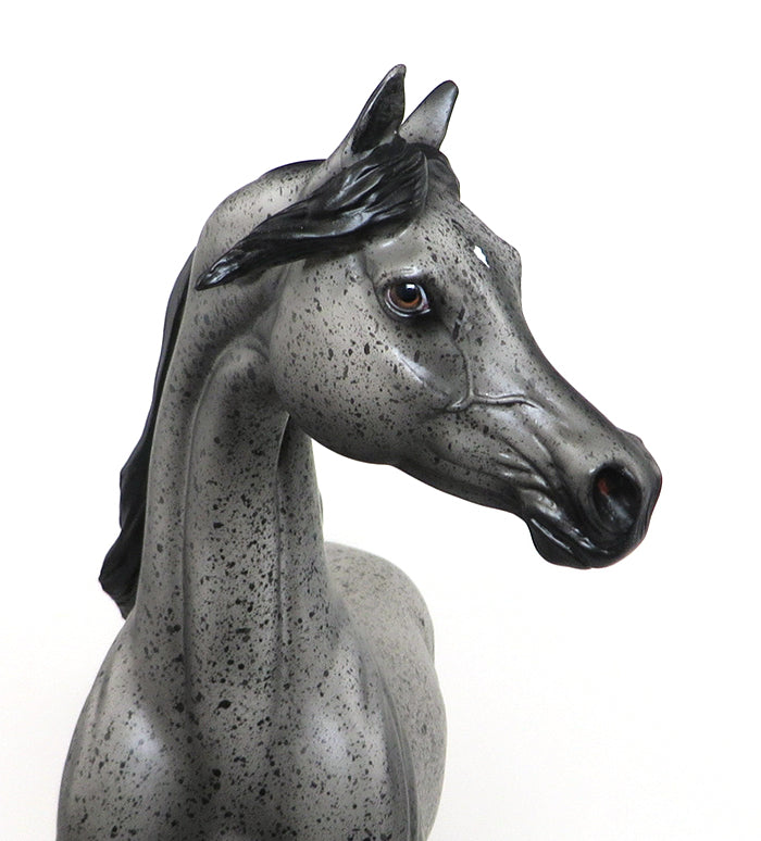 STAR OF WONDER-OOAK-APPALOOSA ARABIAN MODEL HORSE 12/10