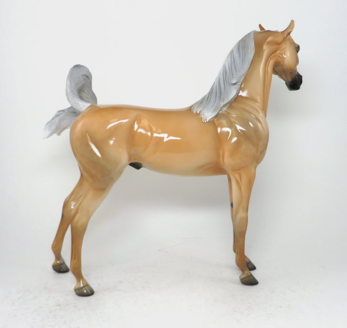 ragtime blues palomino arabian