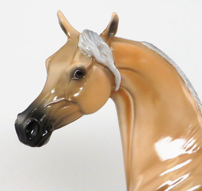 RAGTIME BLUES-LE-2-Palomino Arabian Model Horse 12/10